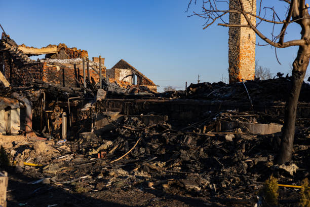 Reliable Content Restoration contractor in Immokalee, FL by Meridian Smoke Damage